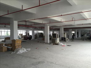 惠州市專業(yè)建筑廠房質(zhì)量安全檢測(cè)技術(shù)服務(wù) 構(gòu)筑堅(jiān)固基石，護(hù)航產(chǎn)業(yè)發(fā)展